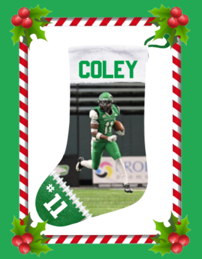 Christmas Stocking - Favorite Player - Green Lined