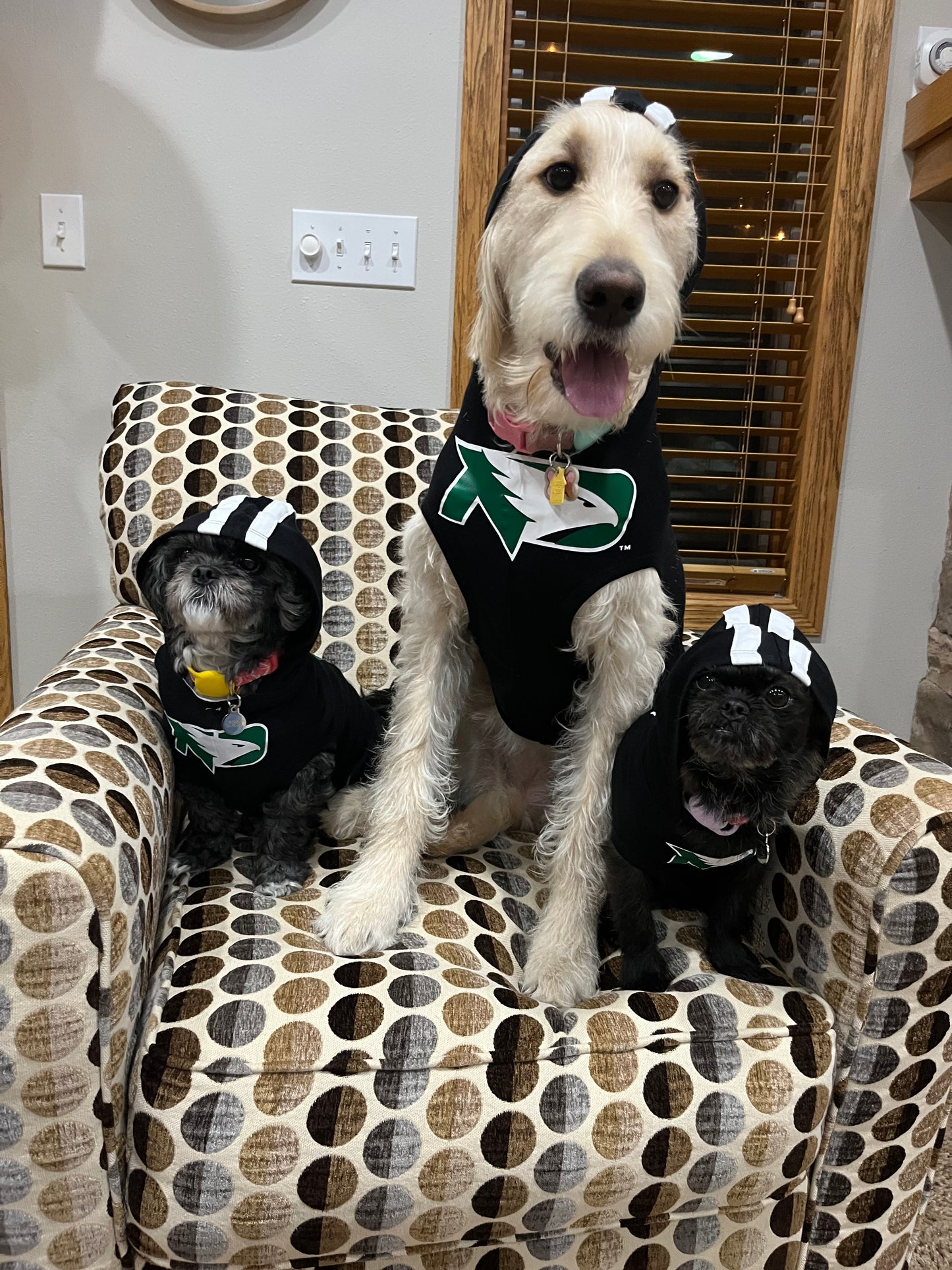 *UND Doggie Jersey